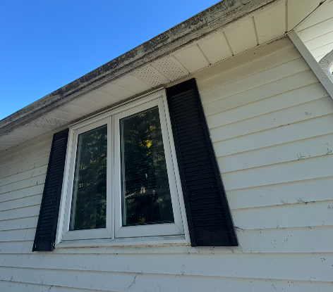 Before gutter cleaning